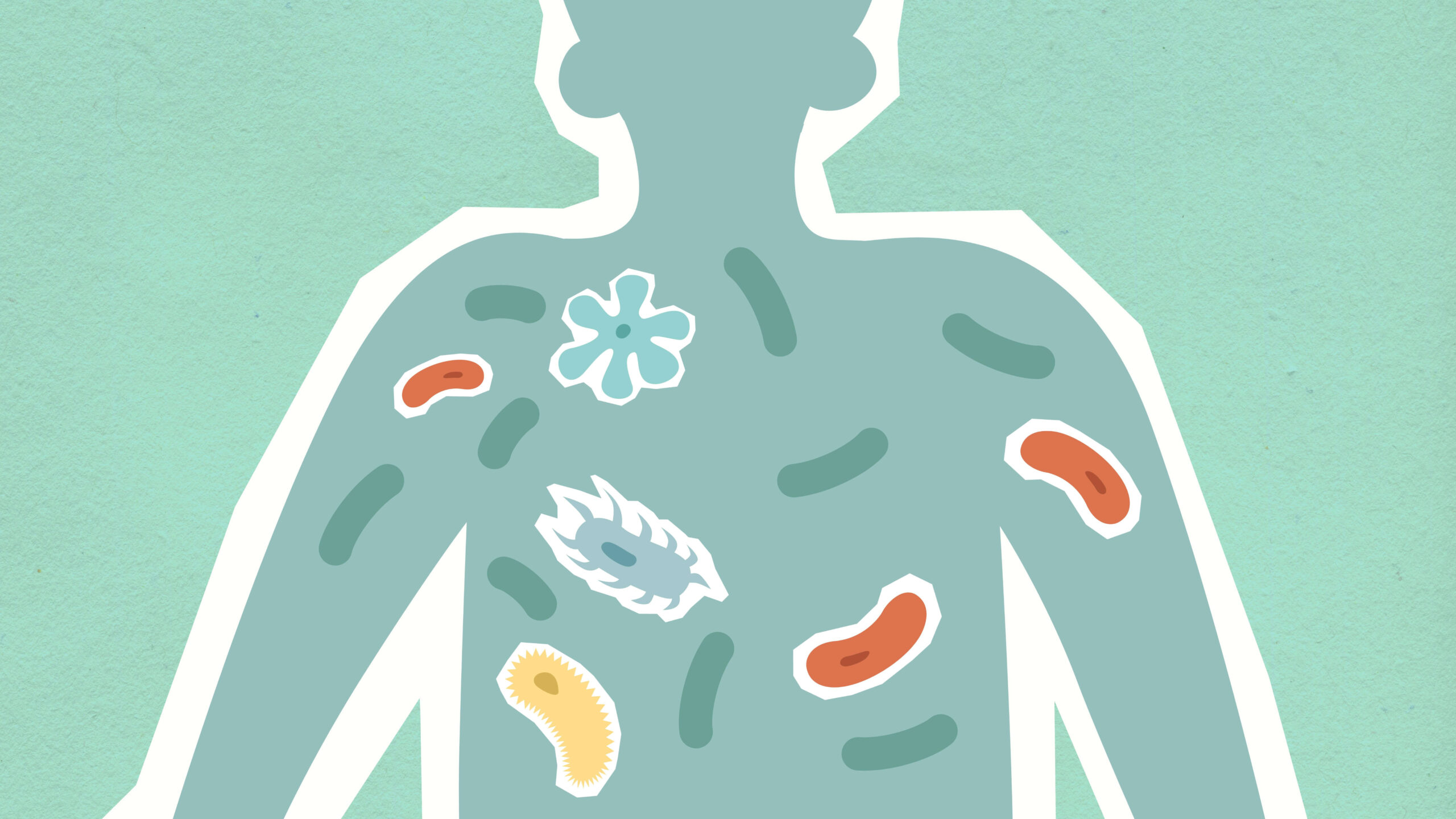 A variety of foods and habits that support healthy digestion and gut microbiome”